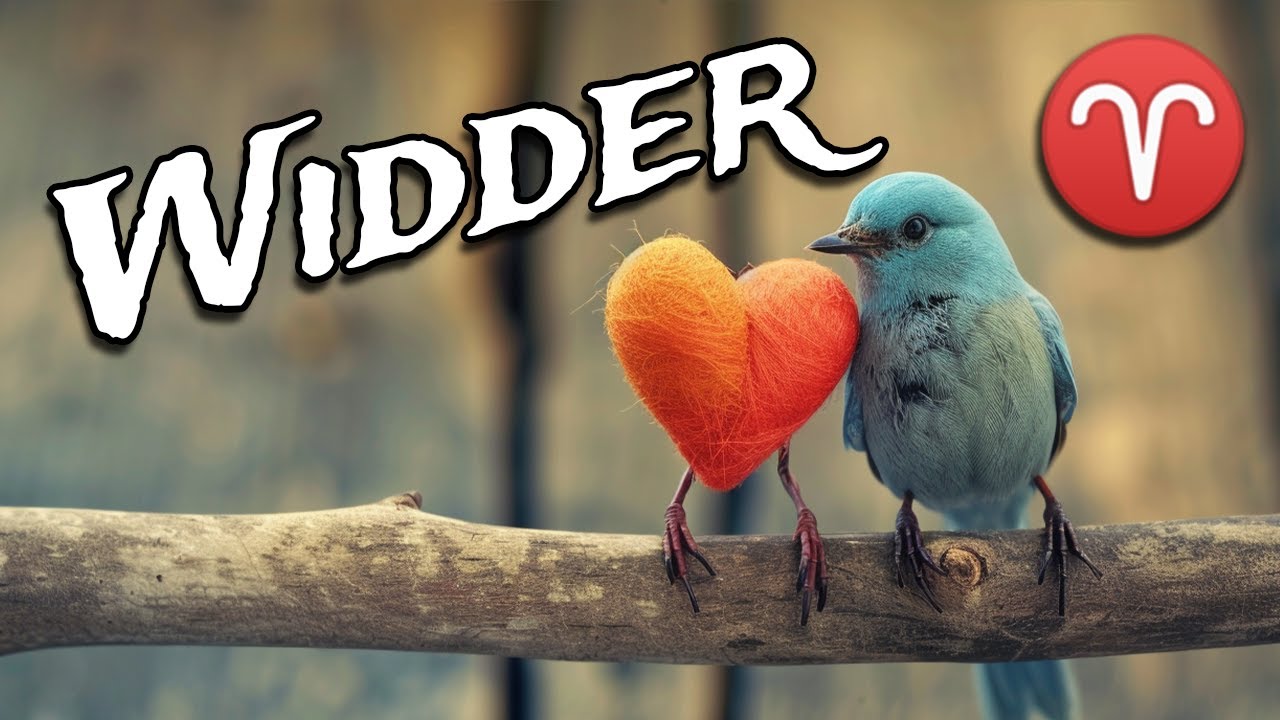 Widder ♈︎  Diese Gelegenheit bringt dir Liebe! Lass sie nicht an dir vorbeiziehen! 👀