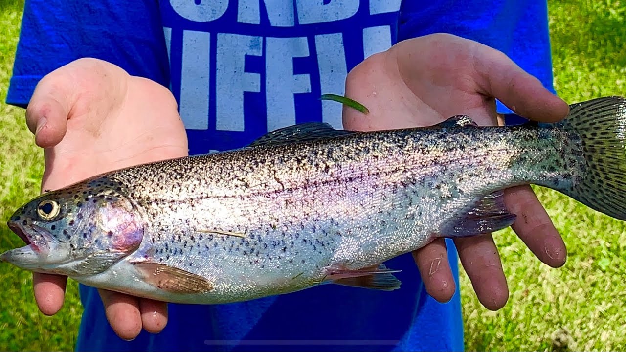 Rainbow Trout Catch-n-Cook ~ Whitewater State Park