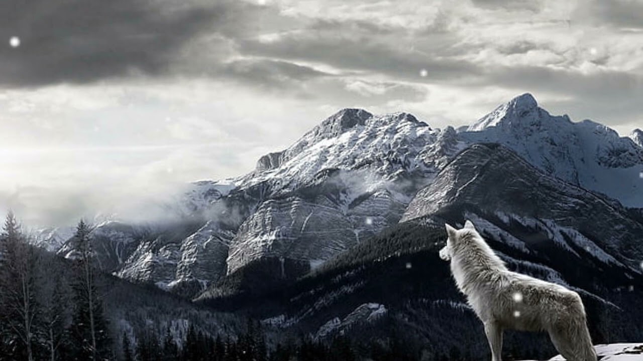 sonidos de viento y lobos
