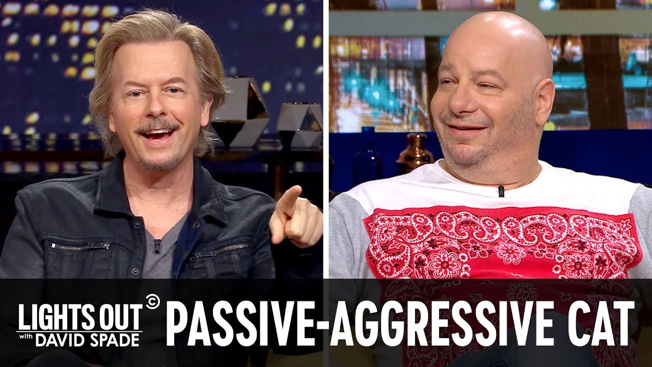Cats Can Be Real Jerks (feat. Jeff Ross) - Lights Out with David Spade