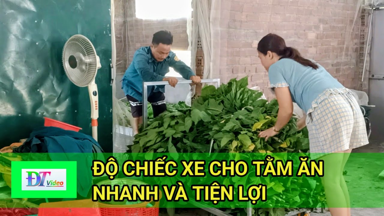 Độ Chiếc Xe Cho Tằm Ăn Siêu Nhanh – Giúp Cho Ăn Lá Dâu Tiện Lợi Và Hiệu Quả