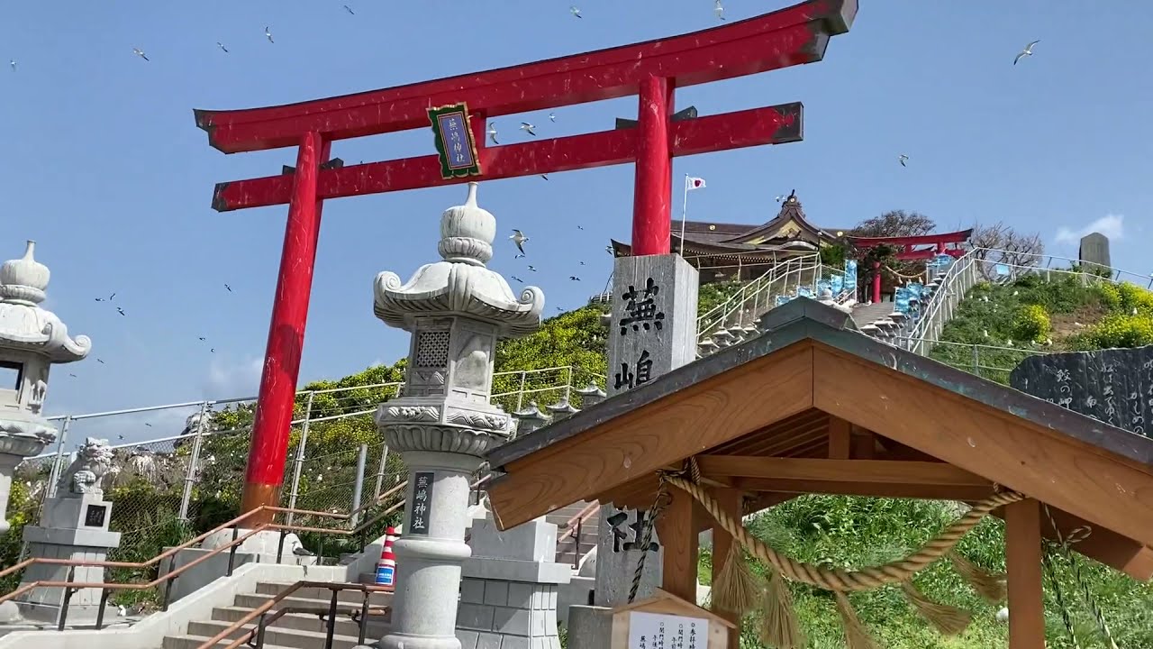 Kabushima, Hachinohe Coast, Aomori, Japan in Spring 2021 with Dr. Darryl Macer, President, AUSN.