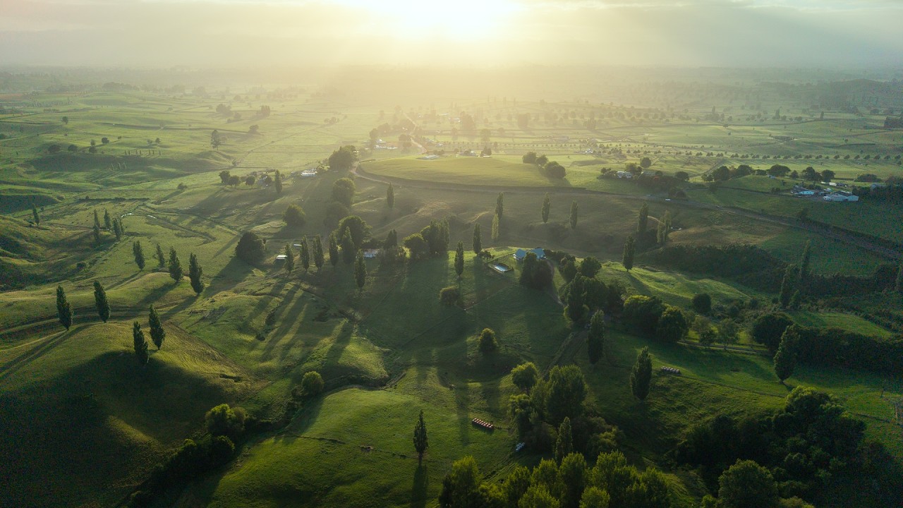 Road Trip Through New Zealand in 2026
