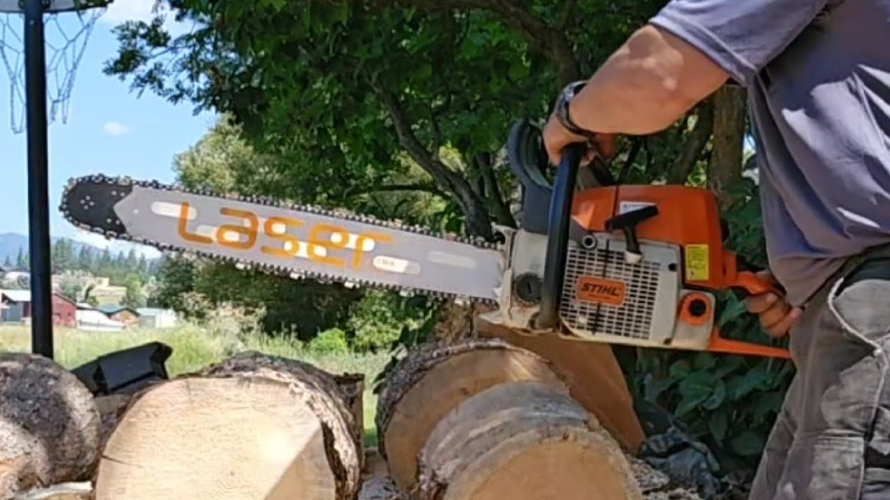 Archer Titanium vs Archer Full Chisel First Cuts #chainsaws #stihl #chainsawman #archeraustralia