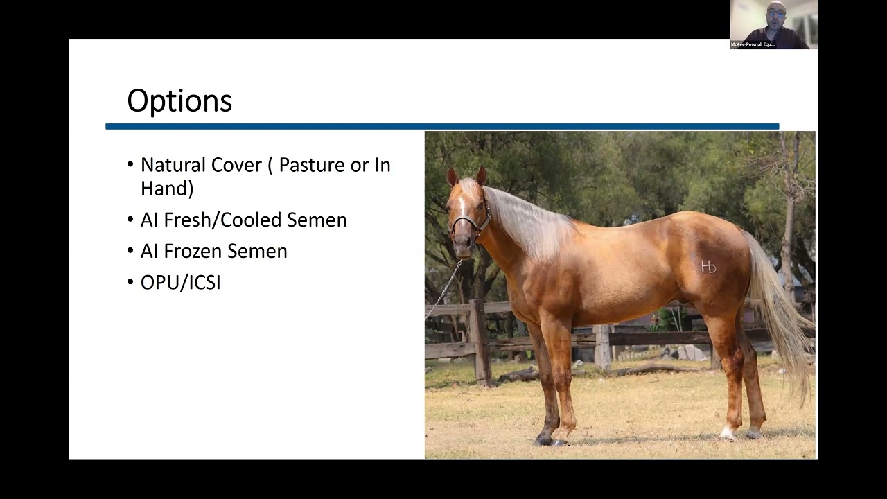 Dr. Gomez Webinar Part 3: Insemination of the Mare