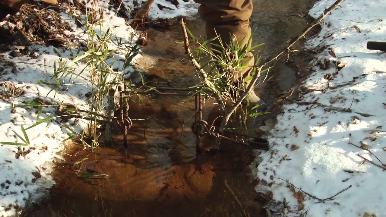 Trapping TV Episode 6 Otter 1