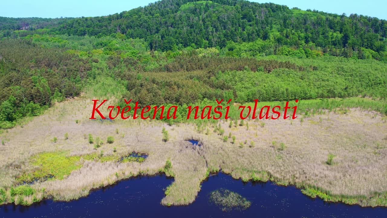 Květena naší vlasti