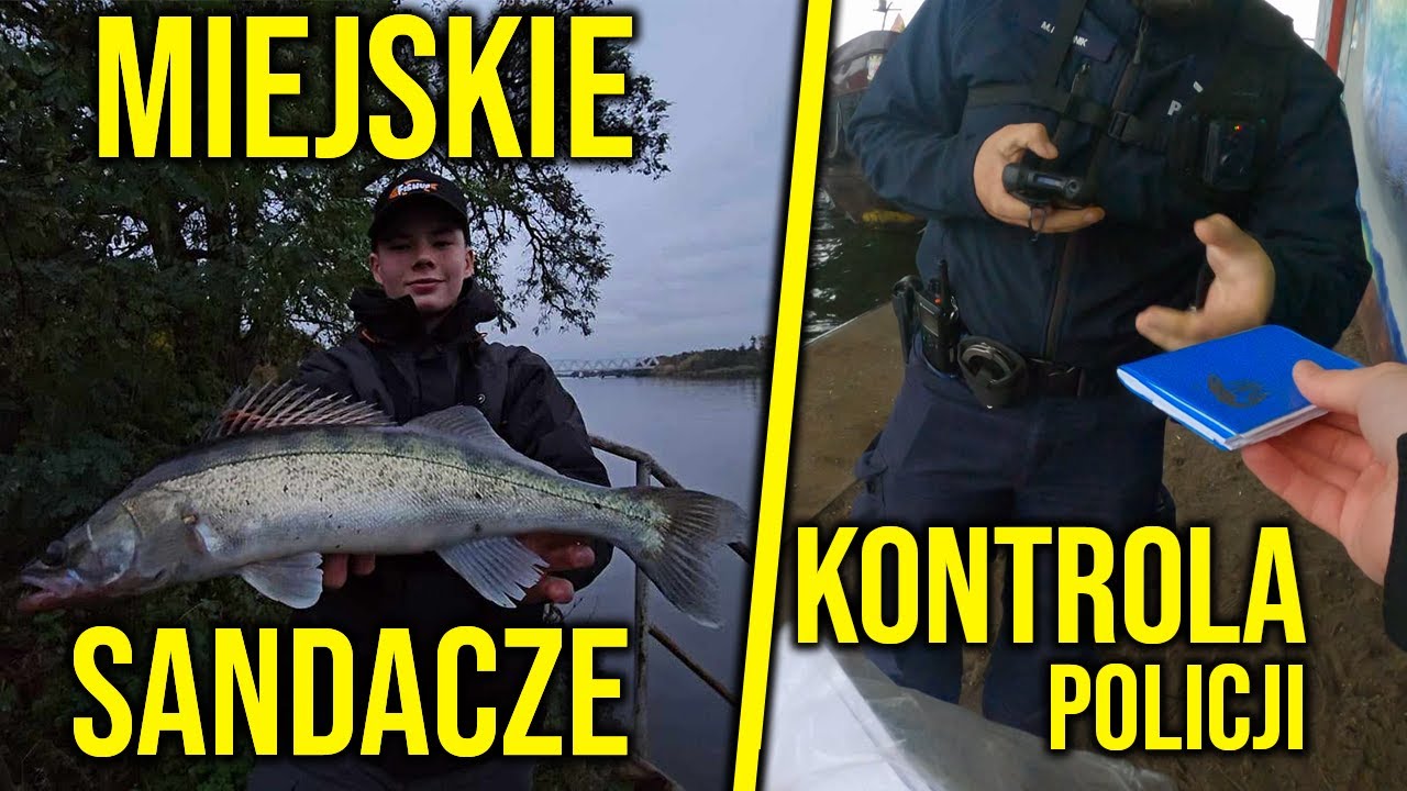 SANDACZE ZE SZCZECIŃSKICH BULWARÓW | KONTROLA POLICJI | #vlog 21