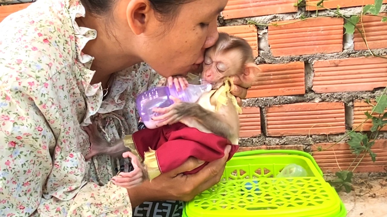 Lovely!! Mom kisses her adorable  baby, LIORA, after she drinks a bottle of milk