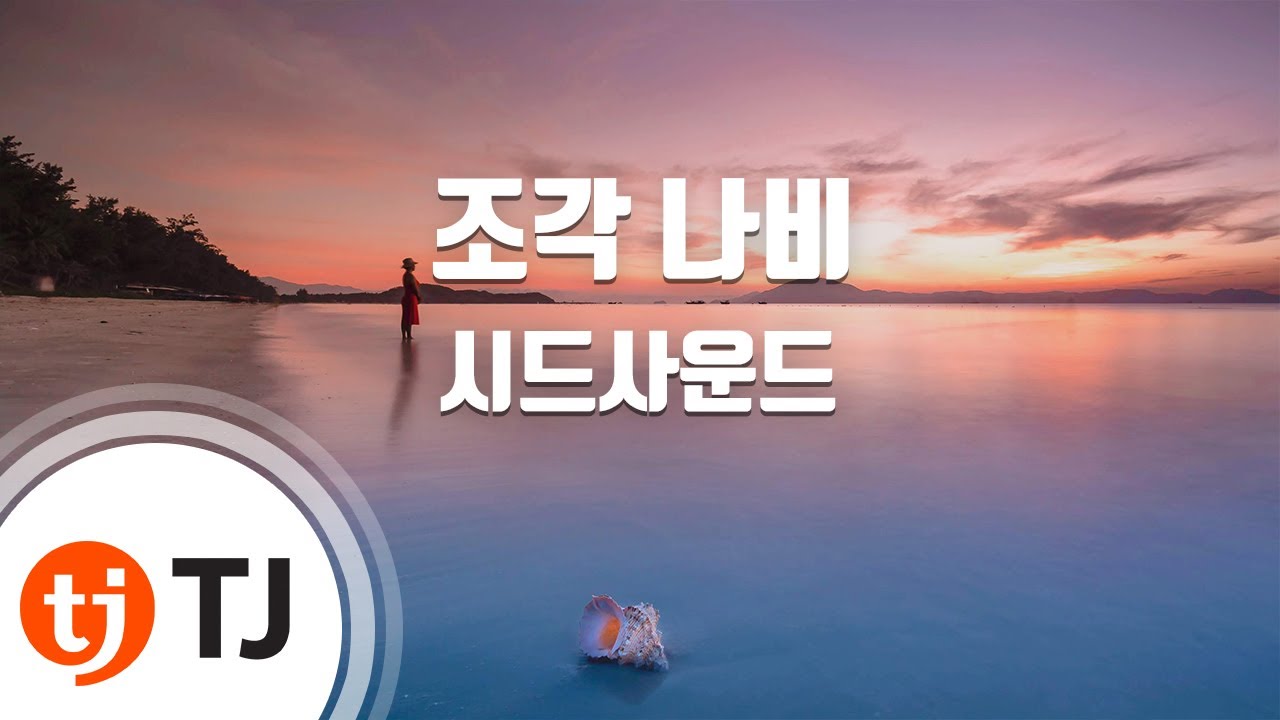 [TJ노래방] 조각나비 - 시드사운드 / TJ Karaoke
