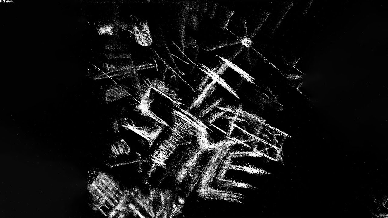 Neemski - Freestyle (Official Visualizer)
