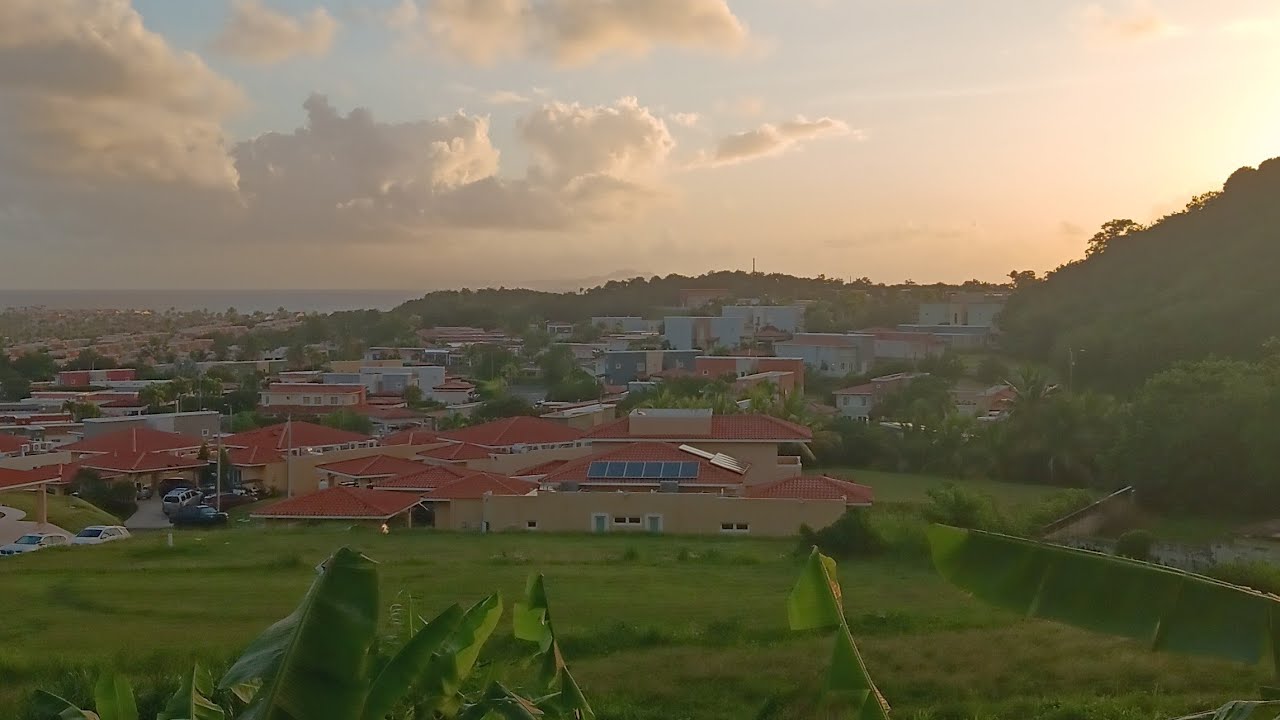 SammyVlog está en vivo