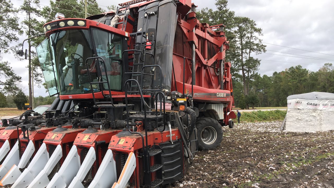 2020 Cotton season has begun, Case 635 Module Express getting stuck  Case 340 & 305 pulling it out