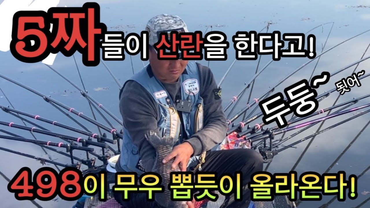 5짜들이 산란을 한다고 /498이 무우 뽑듯이 올라온다!