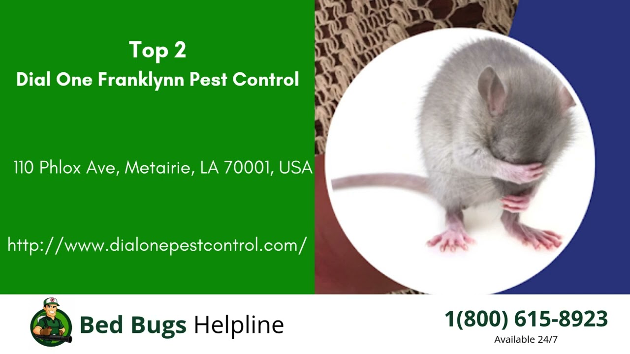 Top 3 Bed Bug Removal in Metairie