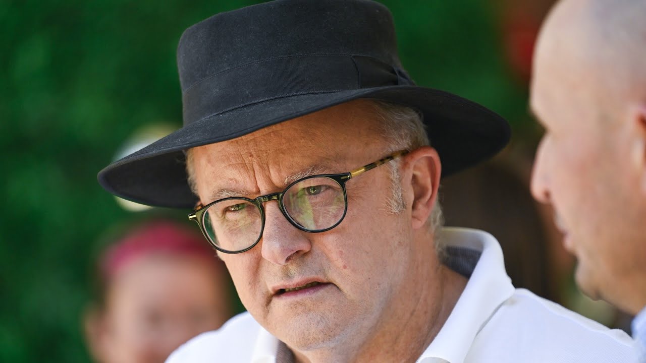 ‘Twenty-five days of inaction’: Albanese blasted for ‘procrastinating’ on Royal Commission