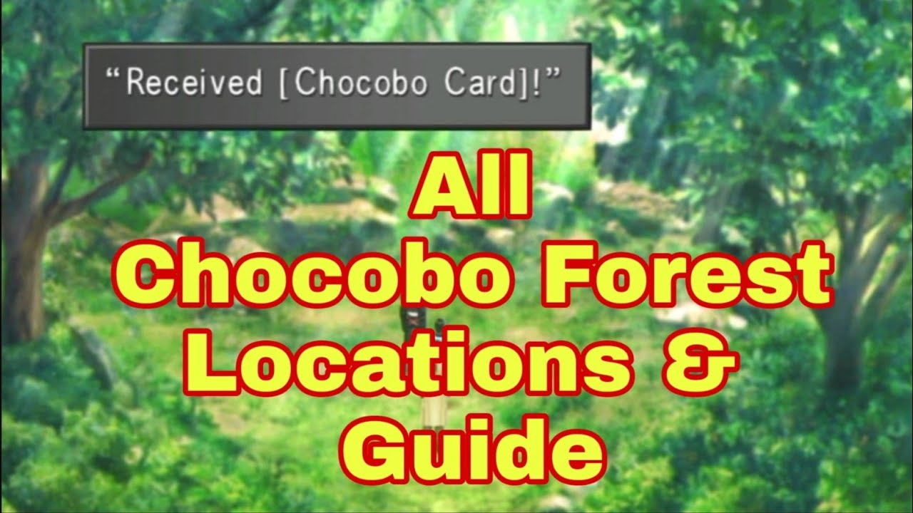 Final Fantasy 8 Chocobo Side Quest 2021