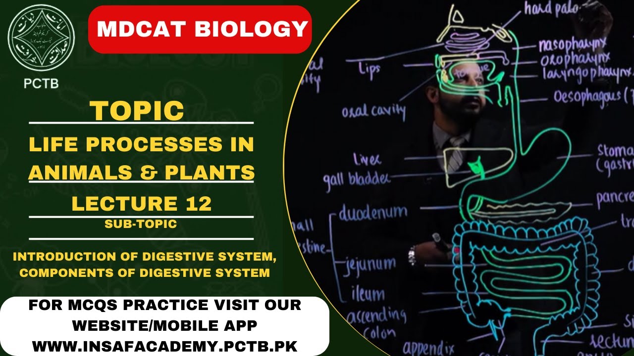 INTRODUCTION OF DIGESTIVE SYSTEM || TOPIC || LIFE PROCESSES IN PLANTS AND ANIMALS || MDCAT/NUMS ||