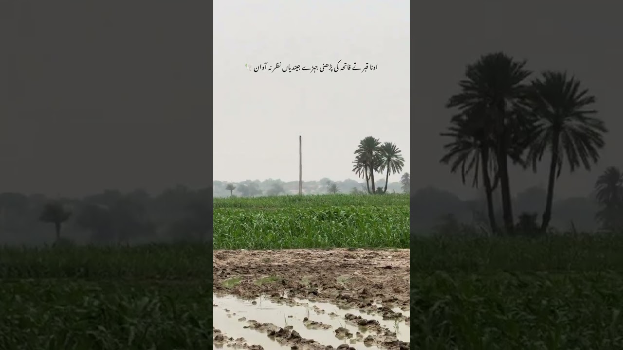 ona qabr te fatya ki parhni | deep lines | true words | 