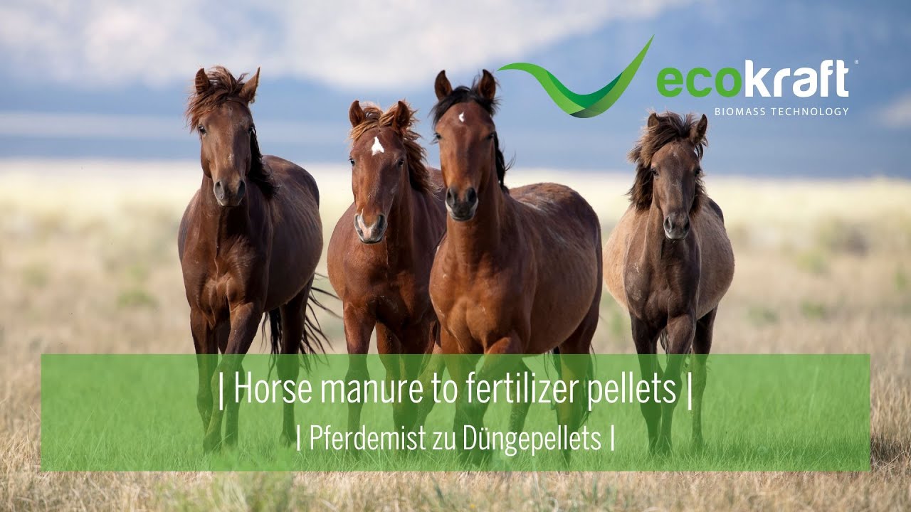 ECOKRAFT - Horse manure to fertilizer pellets