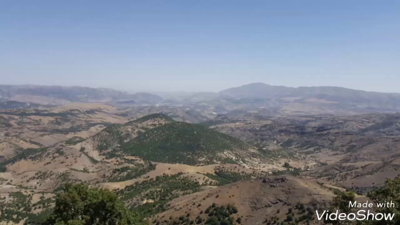 Ali KAYA -Dangi Dangi (Malatya Arguvan Atma)