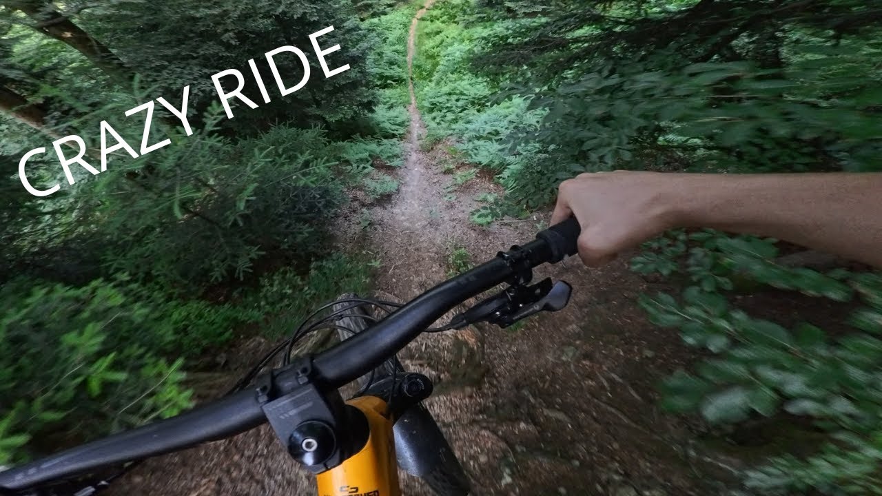SENDING EVERYTHING ON THE BEST TRAIL