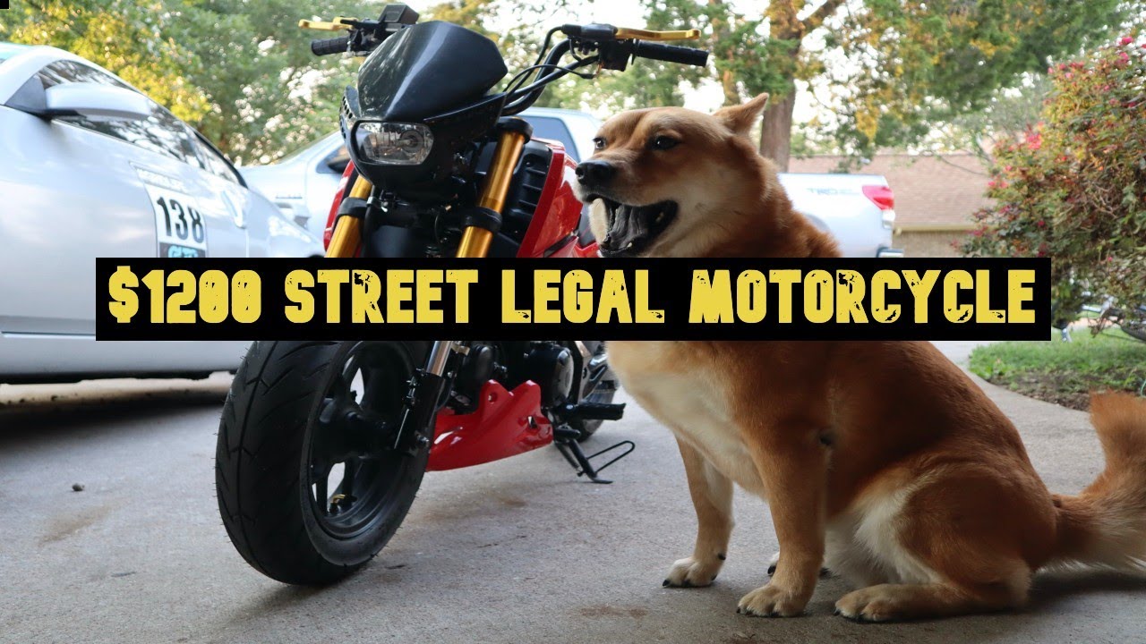 I bought a $1200 mini street-fighter motorcycle (Honda Grom clone Icebear Fuerza)