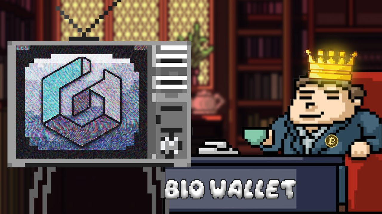 BIO WALLET METAMASK REVIEW