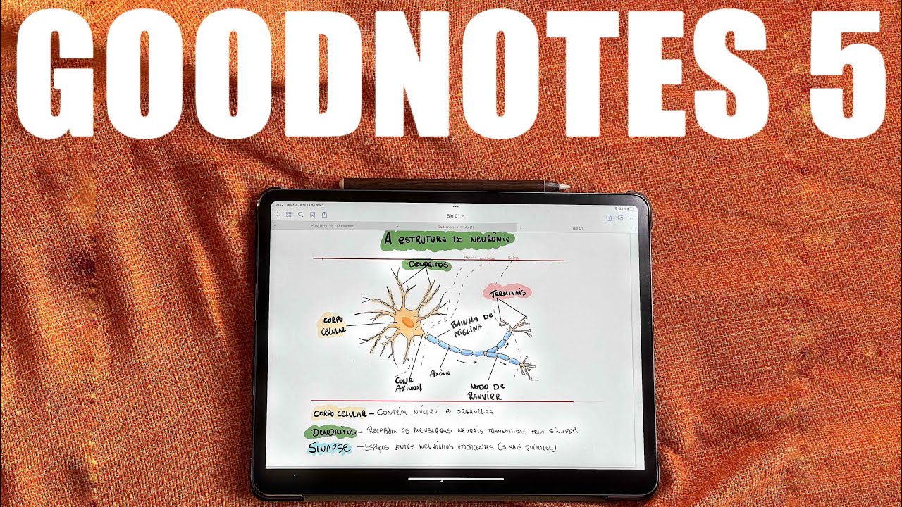 Goodnotes 5: Review Completo
