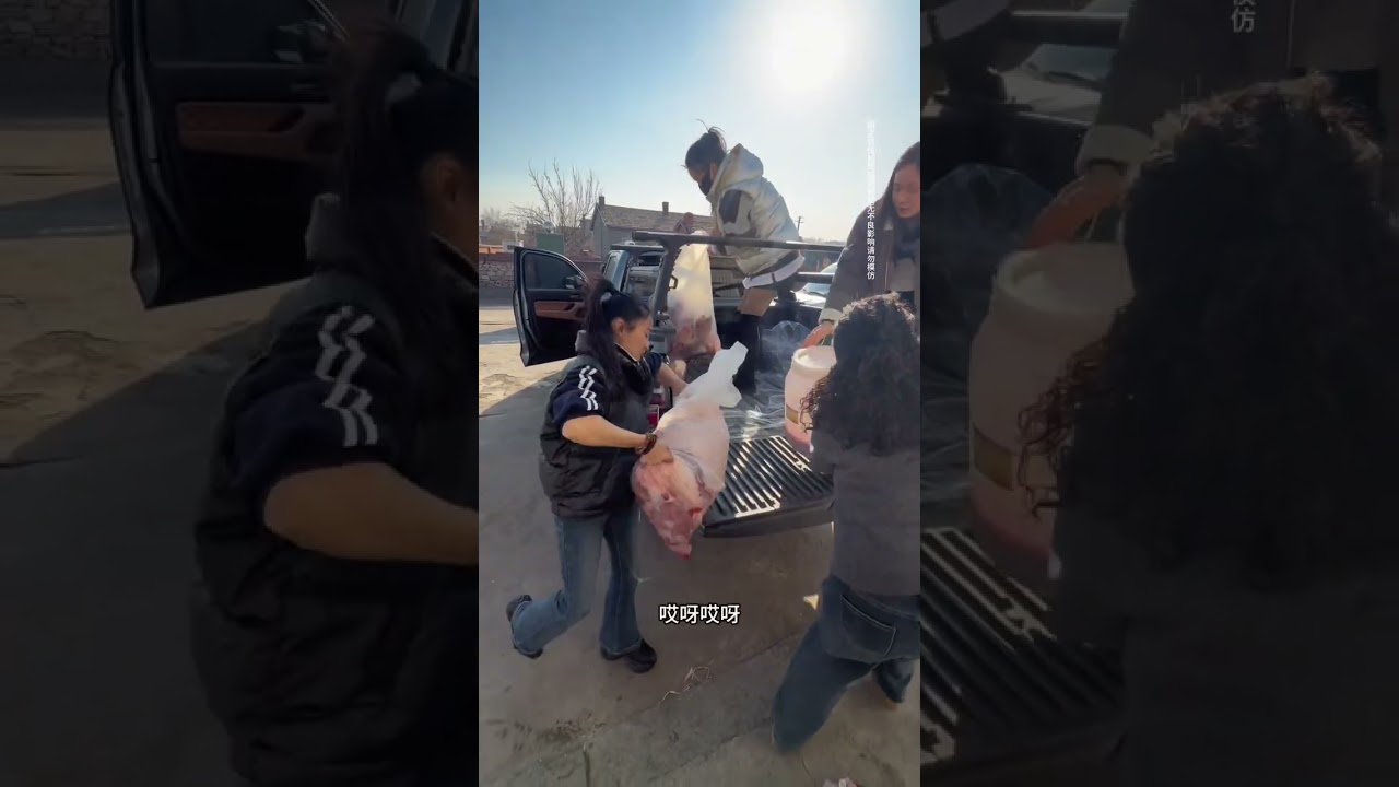 带南方朋友体验东北生活#vlog日常 #东北生活 #货车司机#货车女司机