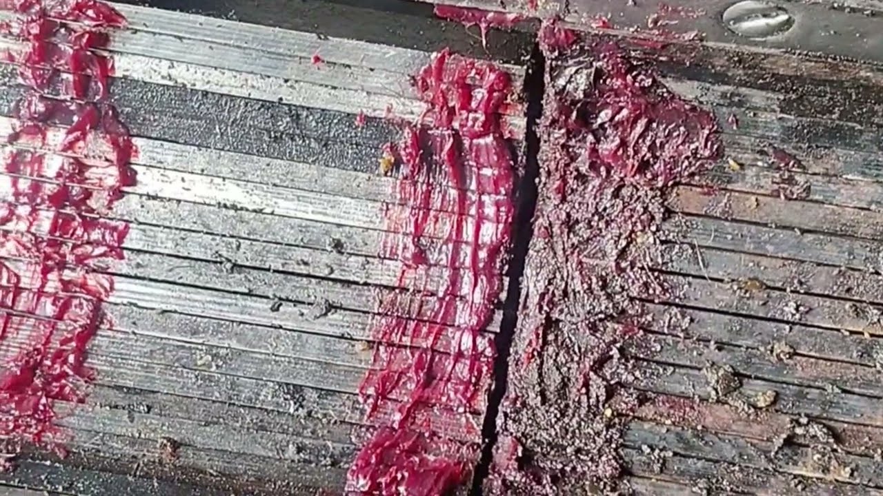 Expeller chamber repair | एक्सपेलर चैम्बर रिपेयरिंग 
