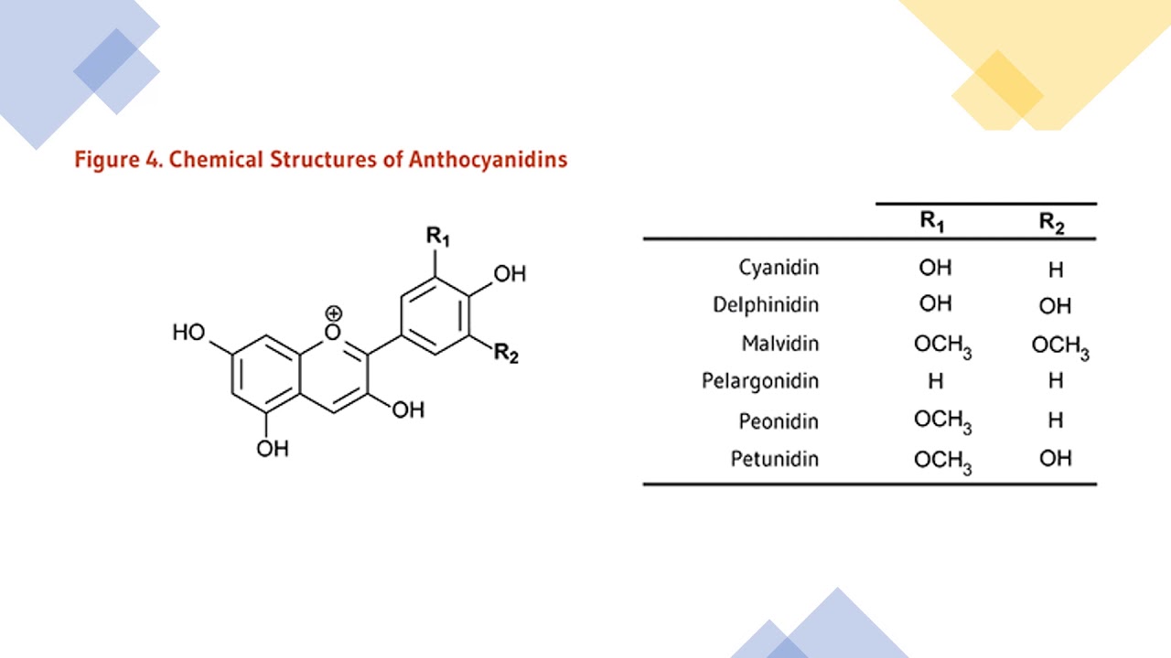 Flavonoids-chemistry| مازن السقا