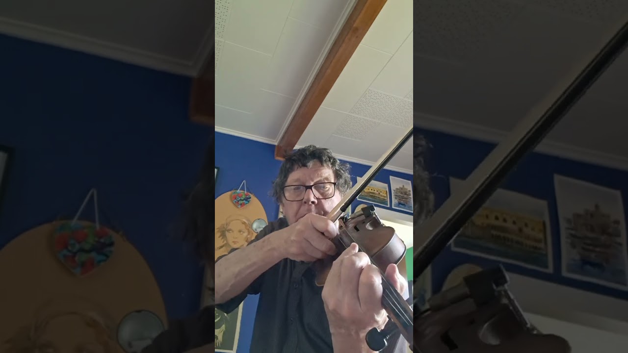 Duet for piccolo bass and violin - still in the practising stage