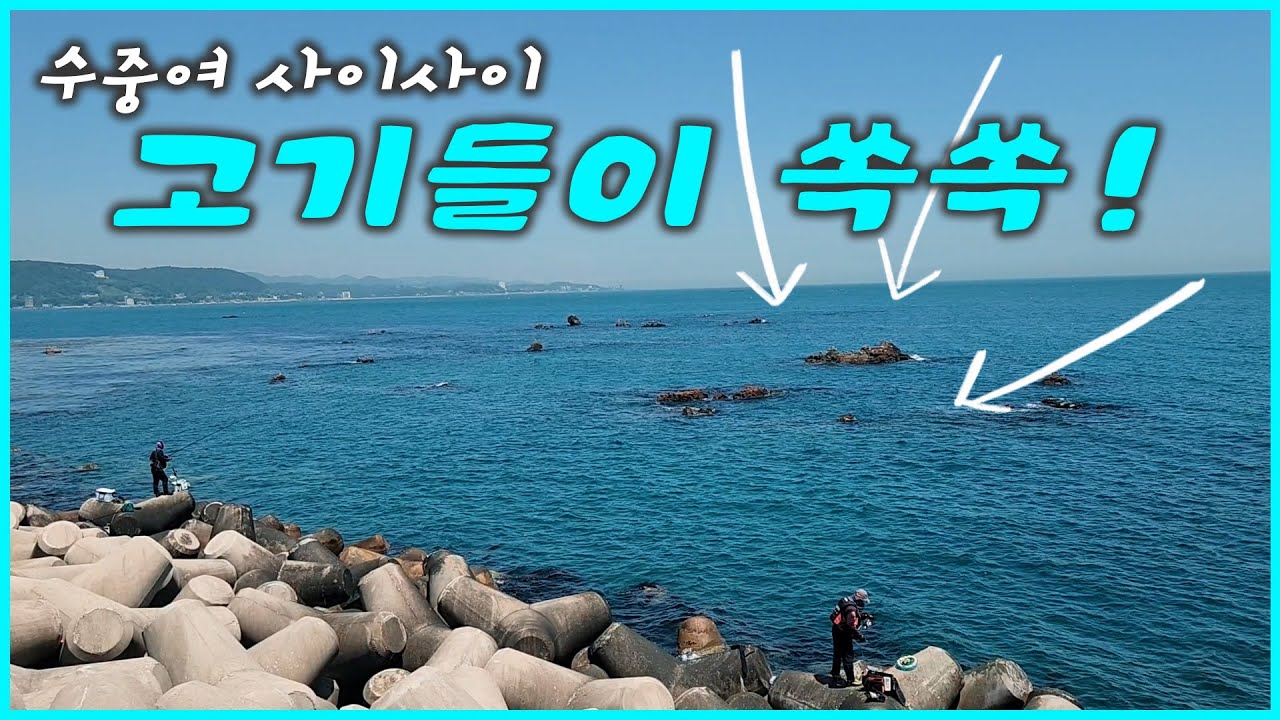 생활 낚시 / 관광 낚시 / 조과 좋은 울산 방파제 낚시 명소! 정자 방파제 포인트 확인하고 가세요~  [전국 낚시 포인트 소개]