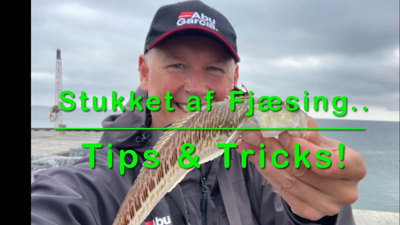 Stukket af Fj&aelig;sing&hellip; Tips & Tricks!