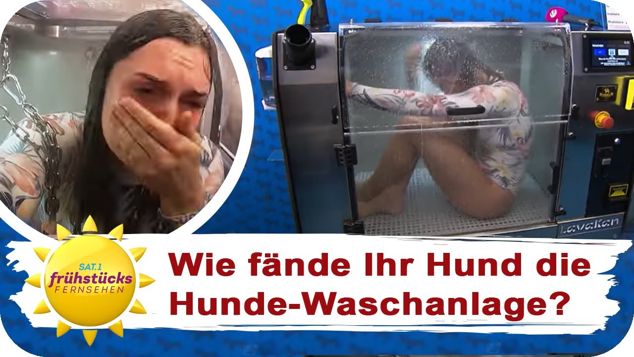 Schnelle W&auml;sche oder Tierqu&auml;lerei? Wir testen eine Hundewaschanlage! | SAT.1 Fr&uuml;hst&uuml;cksfernsehen
