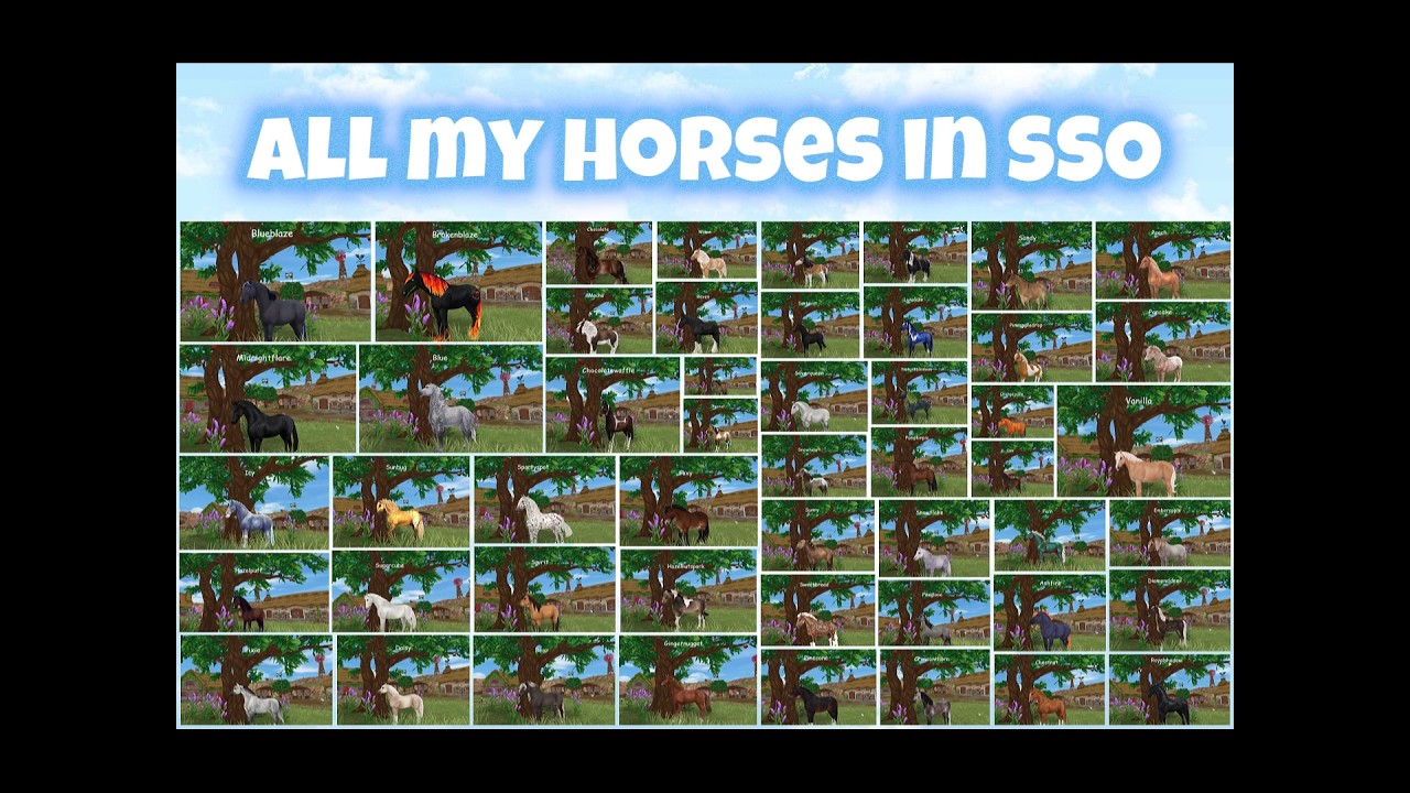These are all my horses and names of them in Star Stable Online