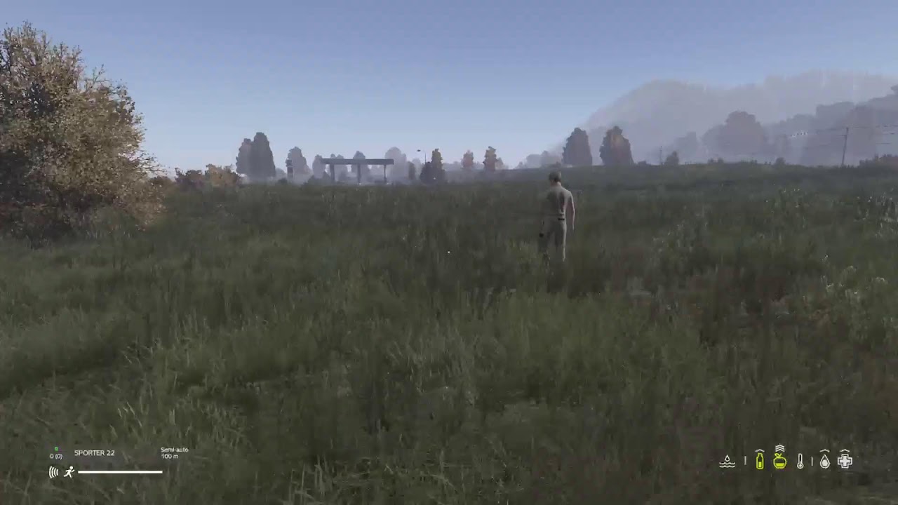 Live dayz
