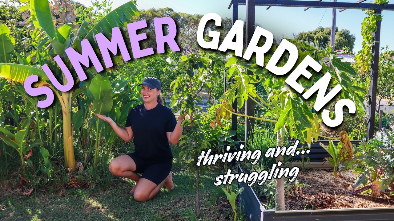 The Reality of a Hot-Climate Garden in Summer | Australian Garden Tour (Perth, Zone 10b)