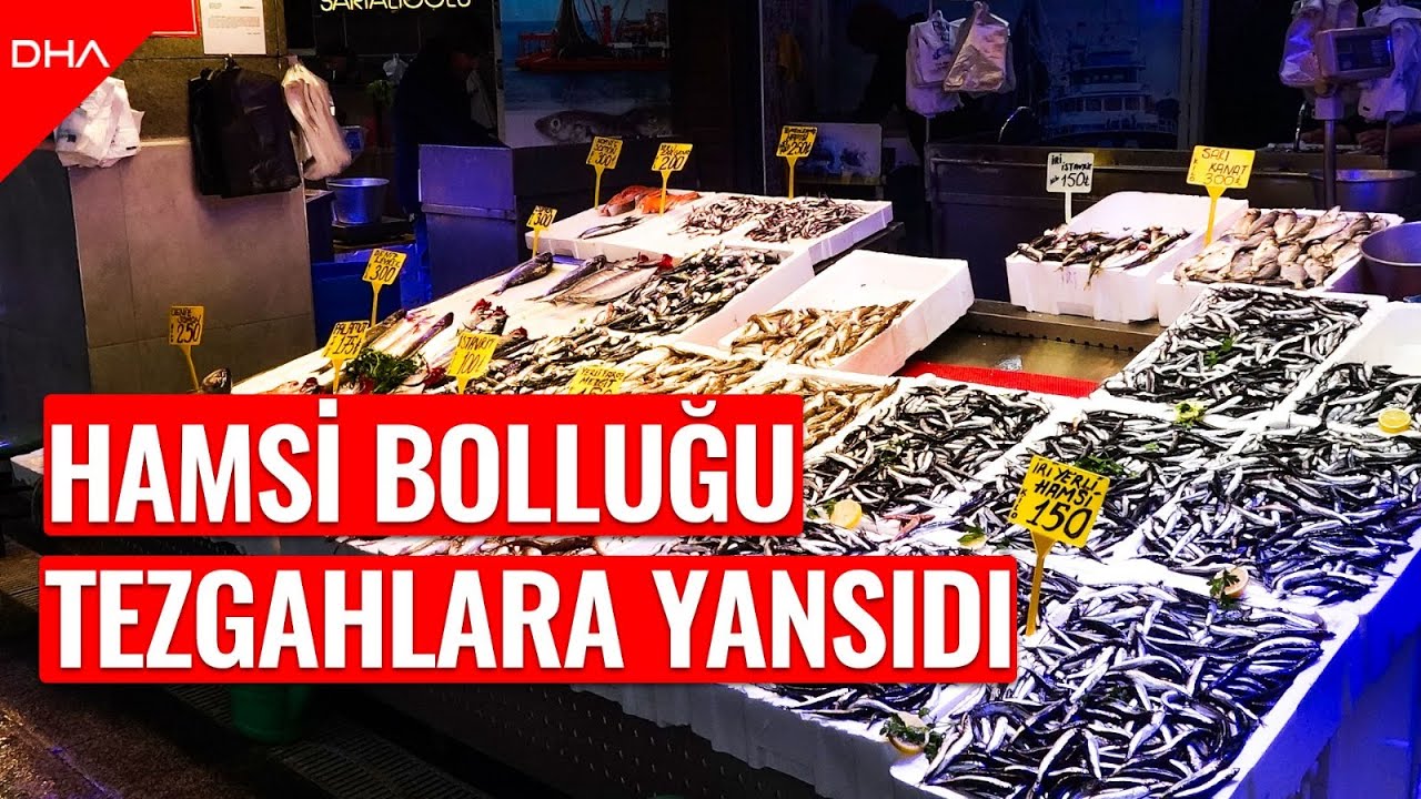 Trabzon’da hamsi bolluğu