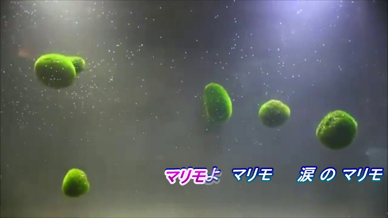 ★マリモの唄（水森かおり）