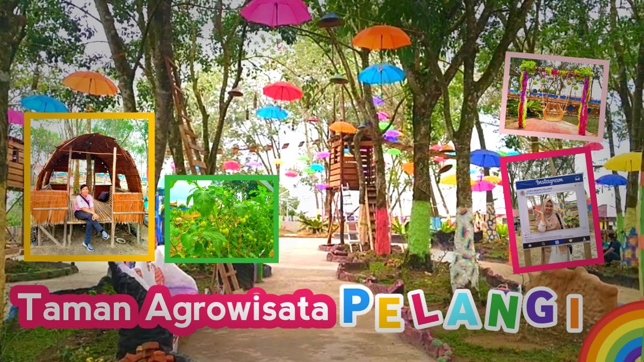 TAMAN AGROWISATA PELANGI PEKANBARU - Nikmati Indahnya taman dan hijau nya tumbuh-tumbuhan..🥰