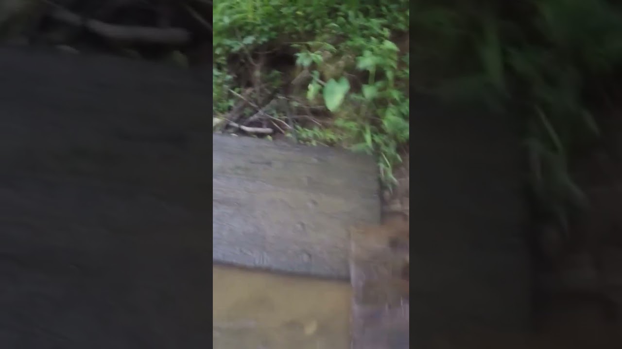 part3 sluice gate recovery from mill