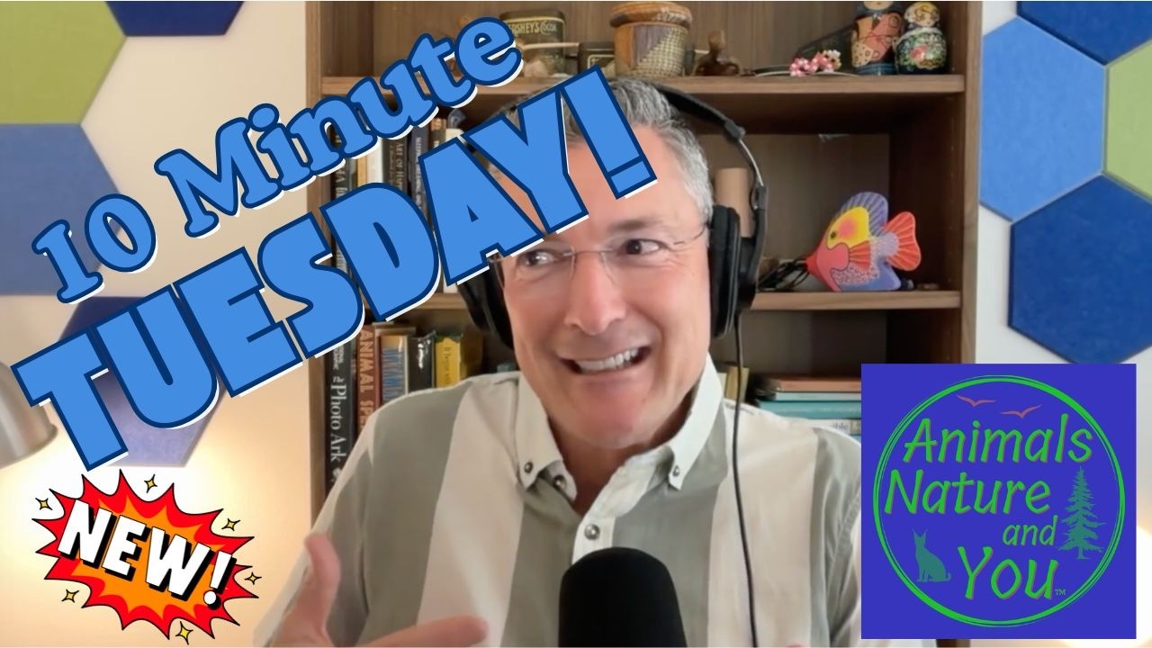 10 Minute Tuesdays Is Here - Here's What to Expect
