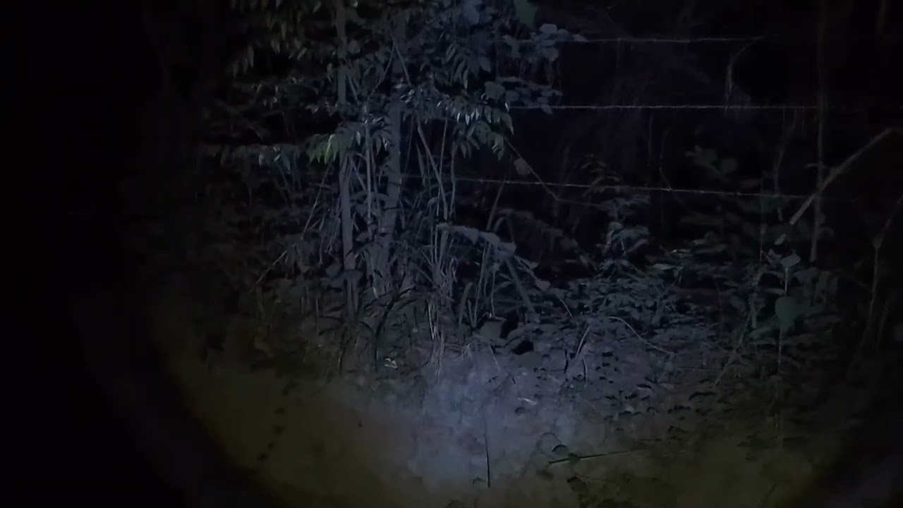 fui segunda vez sozinho na estrada assombrada de madrugada e deu ruim