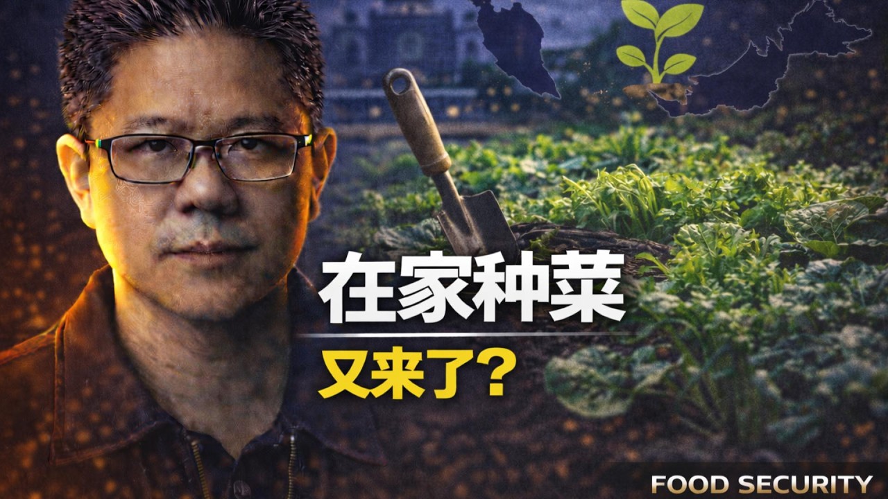 ⚠️以前骂国阵叫人民种菜，现在轮到自己了 | 做了政府才发现：原来真的只能叫人民种菜 | 点亮人生 03132026 #马来西亚 #粮食危机  #种菜