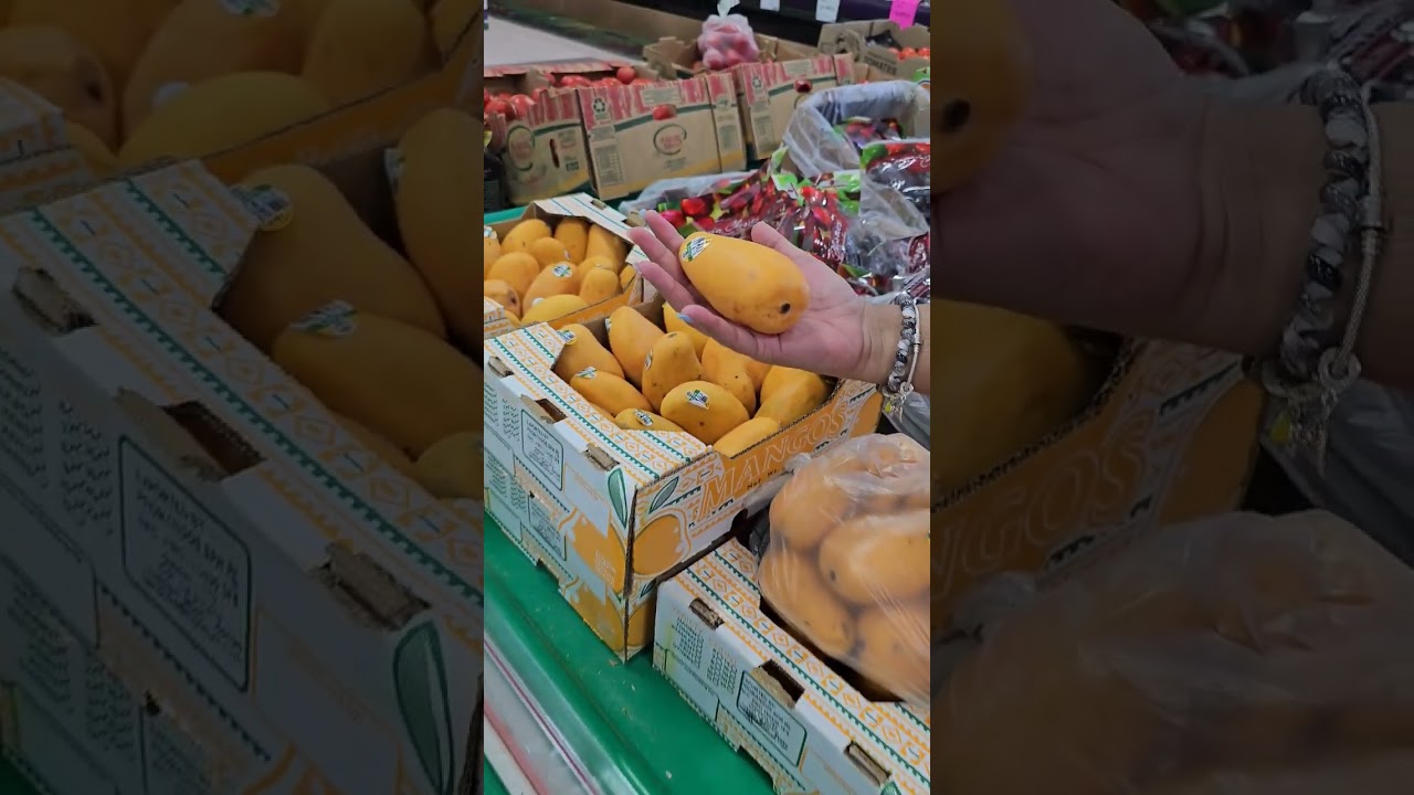 Pakistani Mango 🥭 #canadalife #youtubeshorts #pakistan #trending