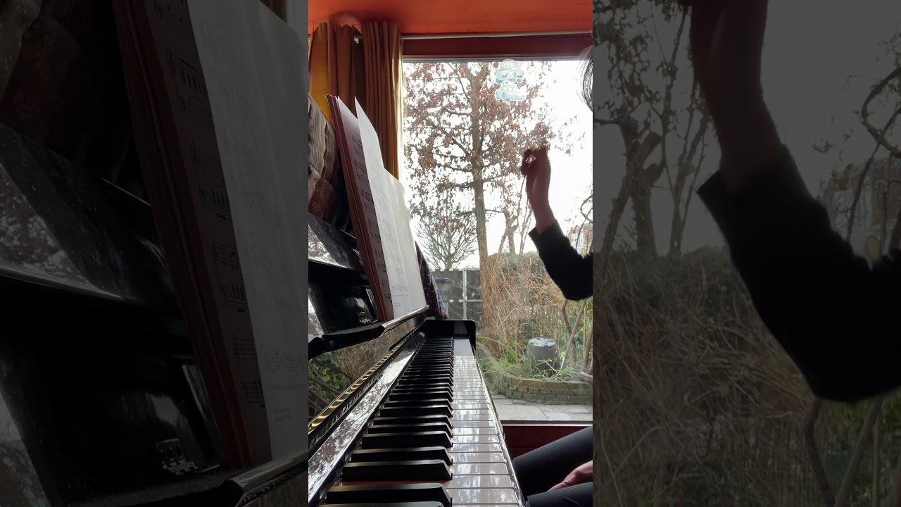 Scale Capers | The Joy of First-Year Piano