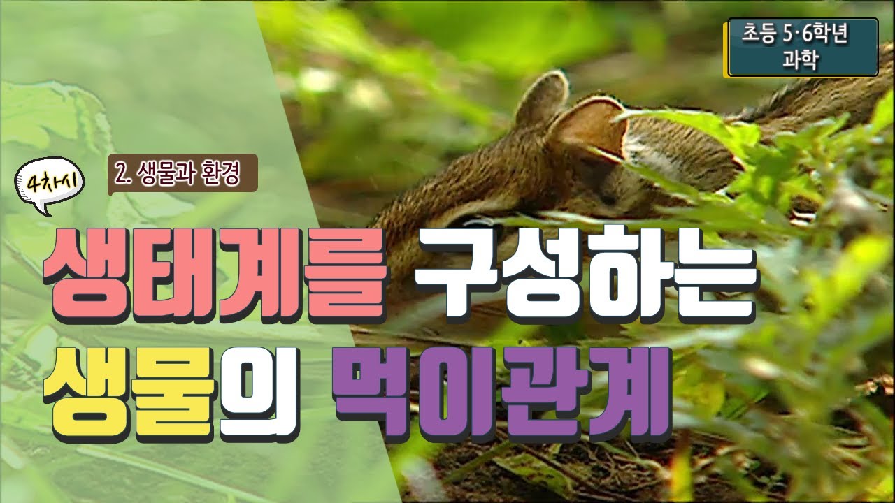[초등 과학 5-2] 2. 생물과 환경 - 4차시 생태계를 구성하는 생물은 어떤 먹이 관계를 맺고 있을까요?