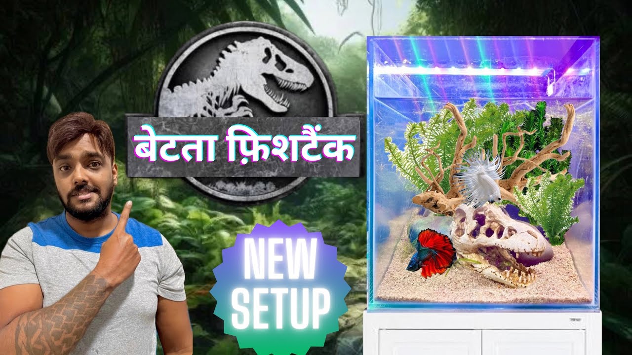 Betta Fish Planted Aquarium | Low Tech Aquascape Set Up (हिंदी)